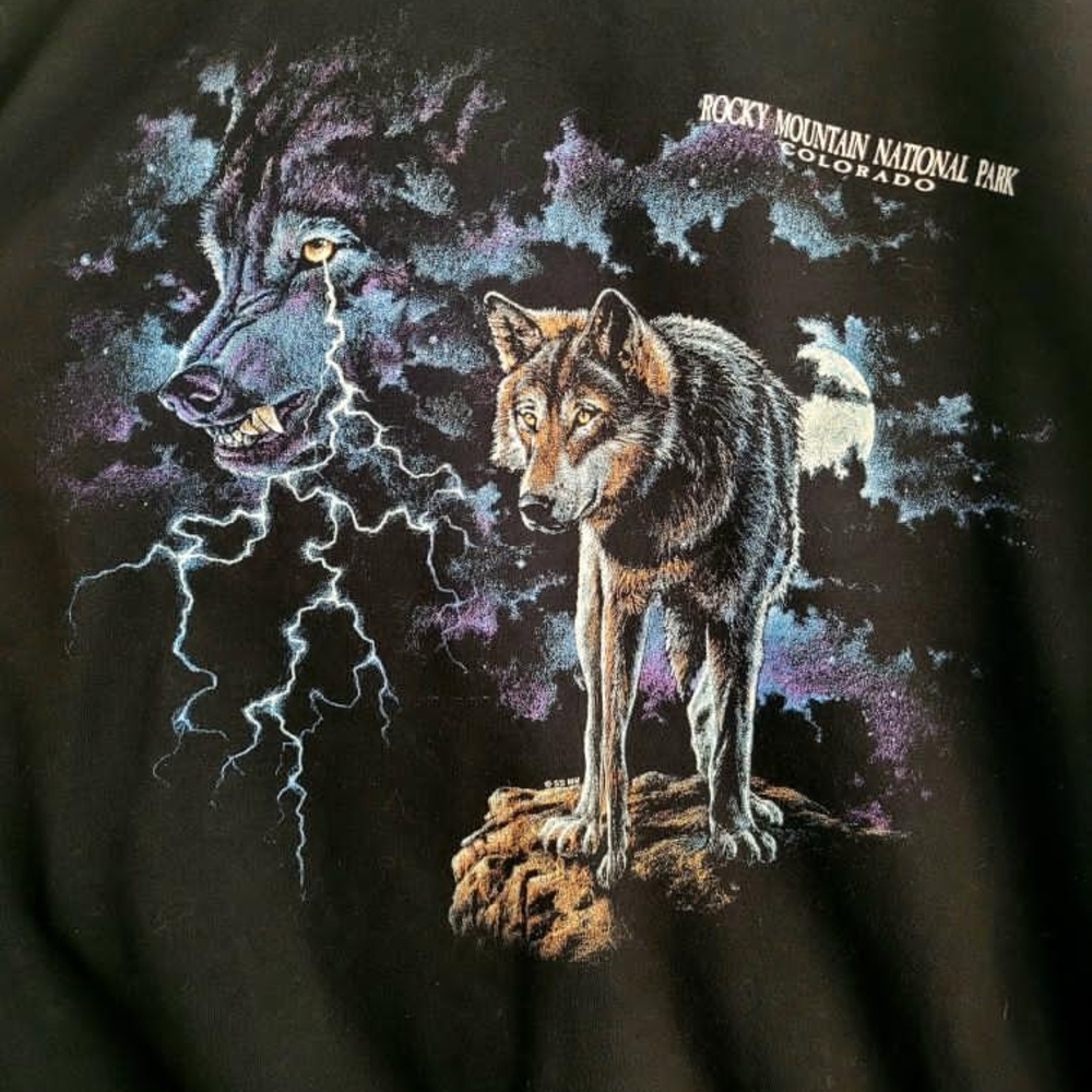 Vintage Y2K Colorado Rocky Mountain National Park Crewneck XL